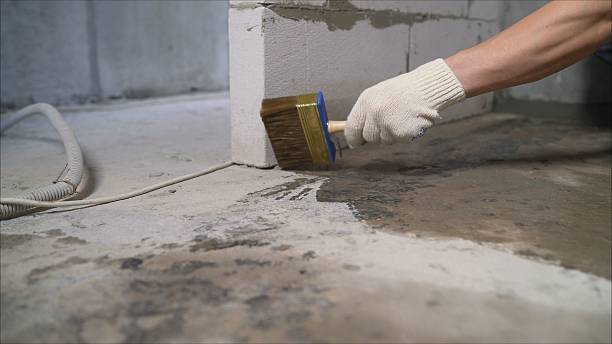 24/7 Emergency Wet Basement Repair experts in White Lake, MI